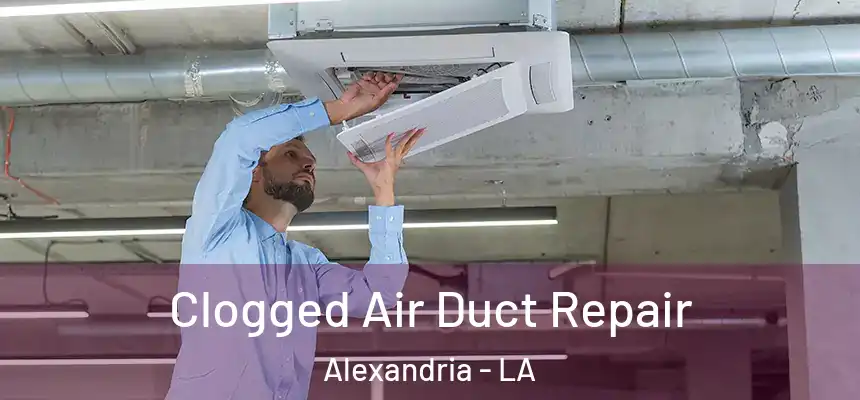 Clogged Air Duct Repair Alexandria - LA