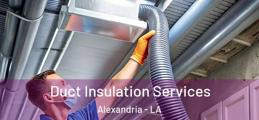 Duct Insulation Services Alexandria - LA