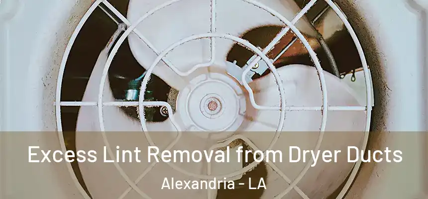  Excess Lint Removal from Dryer Ducts Alexandria - LA