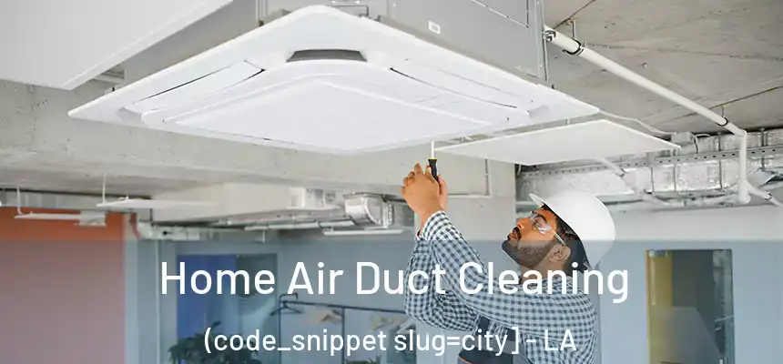  Home Air Duct Cleaning (code_snippet slug=city] - LA