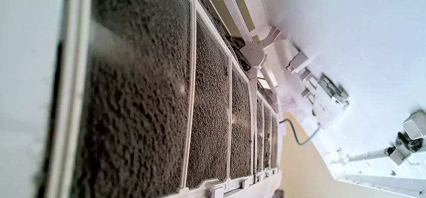 Preventive Air Duct Bacteria Removal in Alexandria