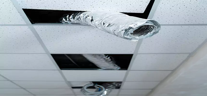 Our Air Duct Pet Hair Removal Services in Alexandria, LA