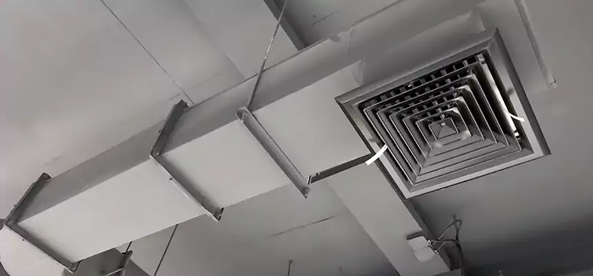 Our Pest Removal From Ducts Services in Alexandria, LA