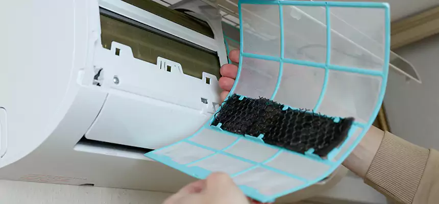 Gentle Ductwork Odor-Control Pet Dander Duct Cleaning in Alexandria, LA