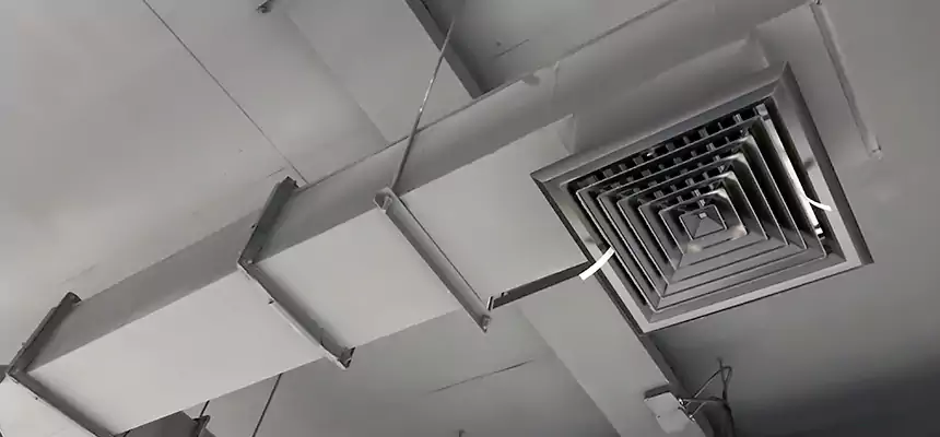 Our Rodent Droppings In Vents Services in Alexandria, LA