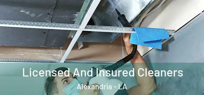  Licensed And Insured Cleaners Alexandria - LA