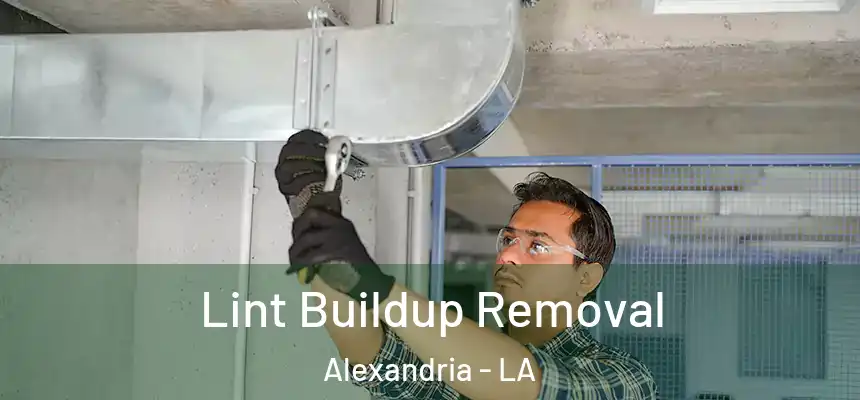  Lint Buildup Removal Alexandria - LA