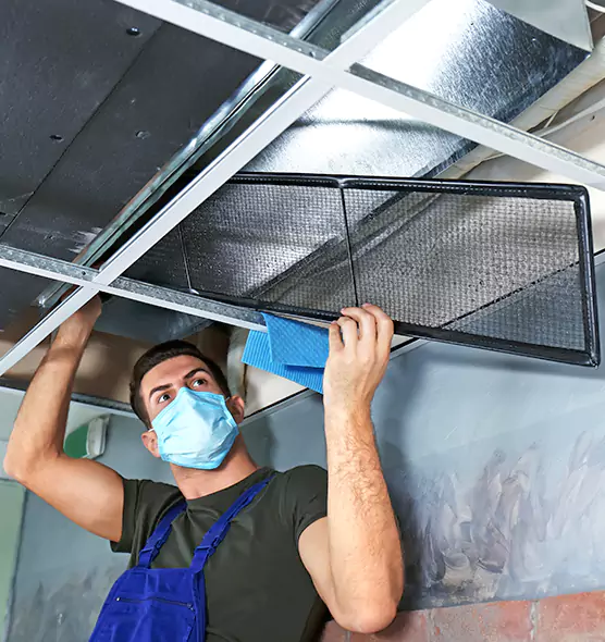 About Air Duct Bacteria Removal in Alexandria