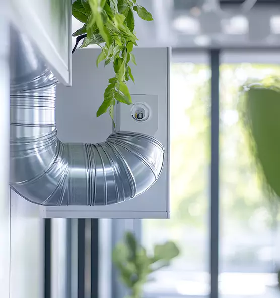 Professional Eco-Friendly Duct Cleaning Services in Alexandria, LA