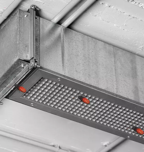 Affordable Insect Removal from Air Ducts in Alexandria, LA