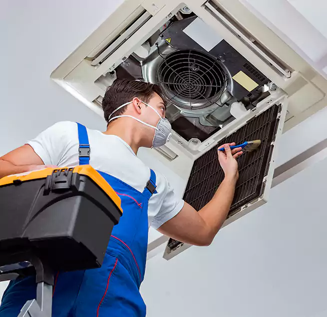 Why Homeowners & Businesses Trust Us in Alexandria, LA