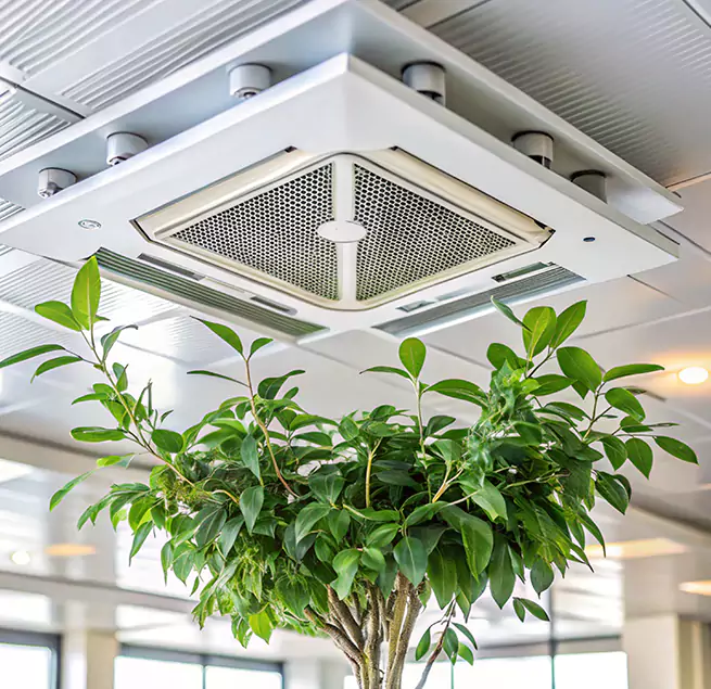 Why Homeowners & Businesses Trust Us in Alexandria, LA?