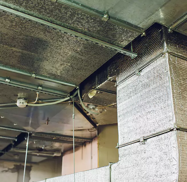 Why Homeowners & Businesses Trust Us in Alexandria, LA?